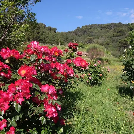 Agriturismo Valcrosa Lantgård